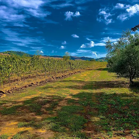 アパート Carpine Bio In Maremma *