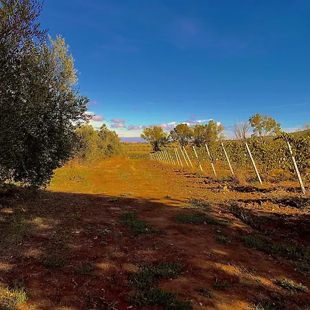 Carpine Bio In Maremma