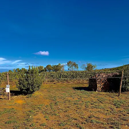 Carpine Bio In Maremma * アルベレーゼ