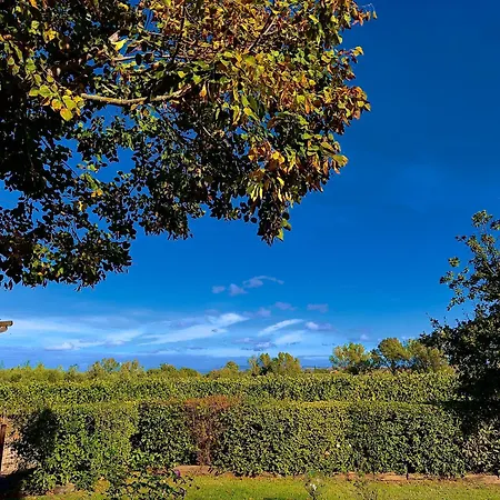Apartment Carpine Bio In Maremma