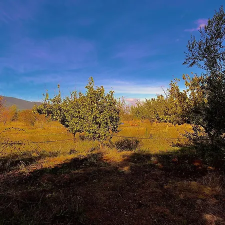 Carpine Bio In Maremma Apartment