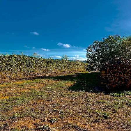Apartment Carpine Bio In Maremma Alberese