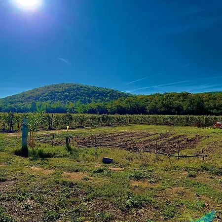Apartment Carpine Bio In Maremma Alberese