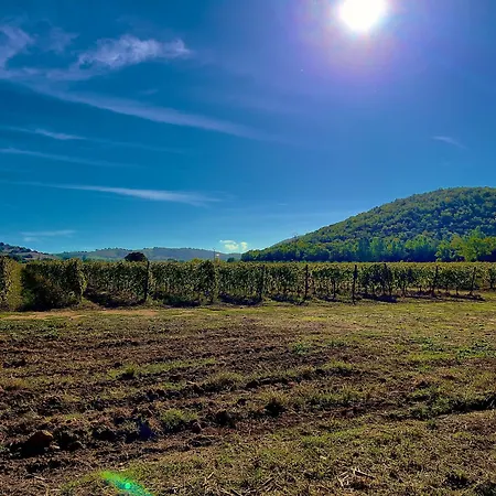 Apartment Carpine Bio In Maremma