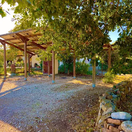 Apartment Carpine Bio In Maremma