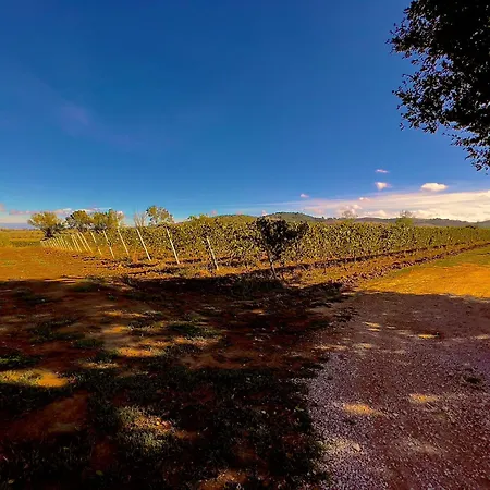 アパート Carpine Bio In Maremma *