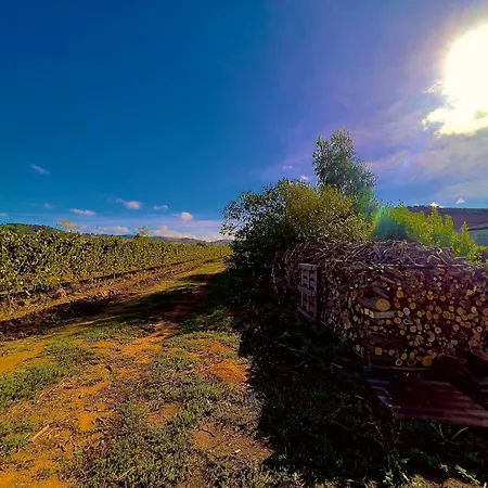Apartment Carpine Bio In Maremma *