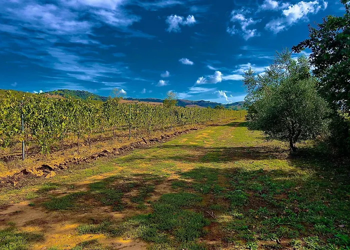 Apartament Carpine Bio In Maremma *