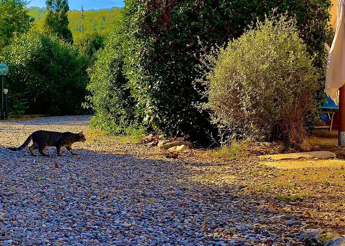 Carpine Bio In Maremma * Alberese