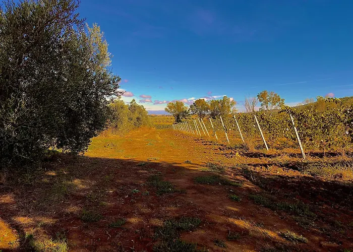 Carpine Bio In Maremma