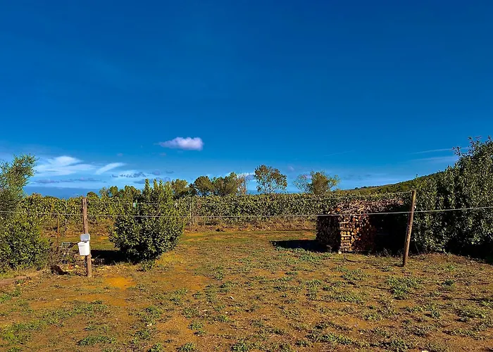 Carpine Bio In Maremma * Alberese