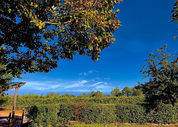Apartament Carpine Bio In Maremma