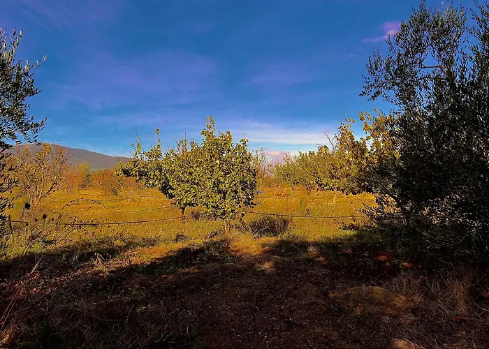 Carpine Bio In Maremma Apartament