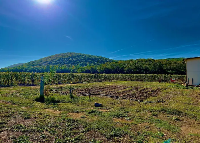 Apartament Carpine Bio In Maremma Alberese