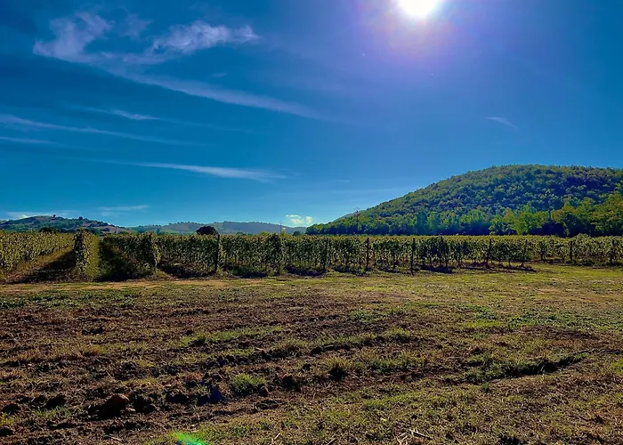 Apartament Carpine Bio In Maremma
