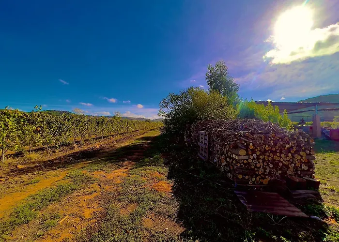 Apartament Carpine Bio In Maremma *